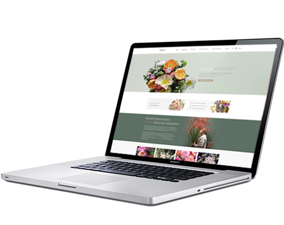 wordpress website brielle